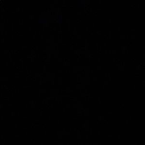 Meet your Posher, Jeison